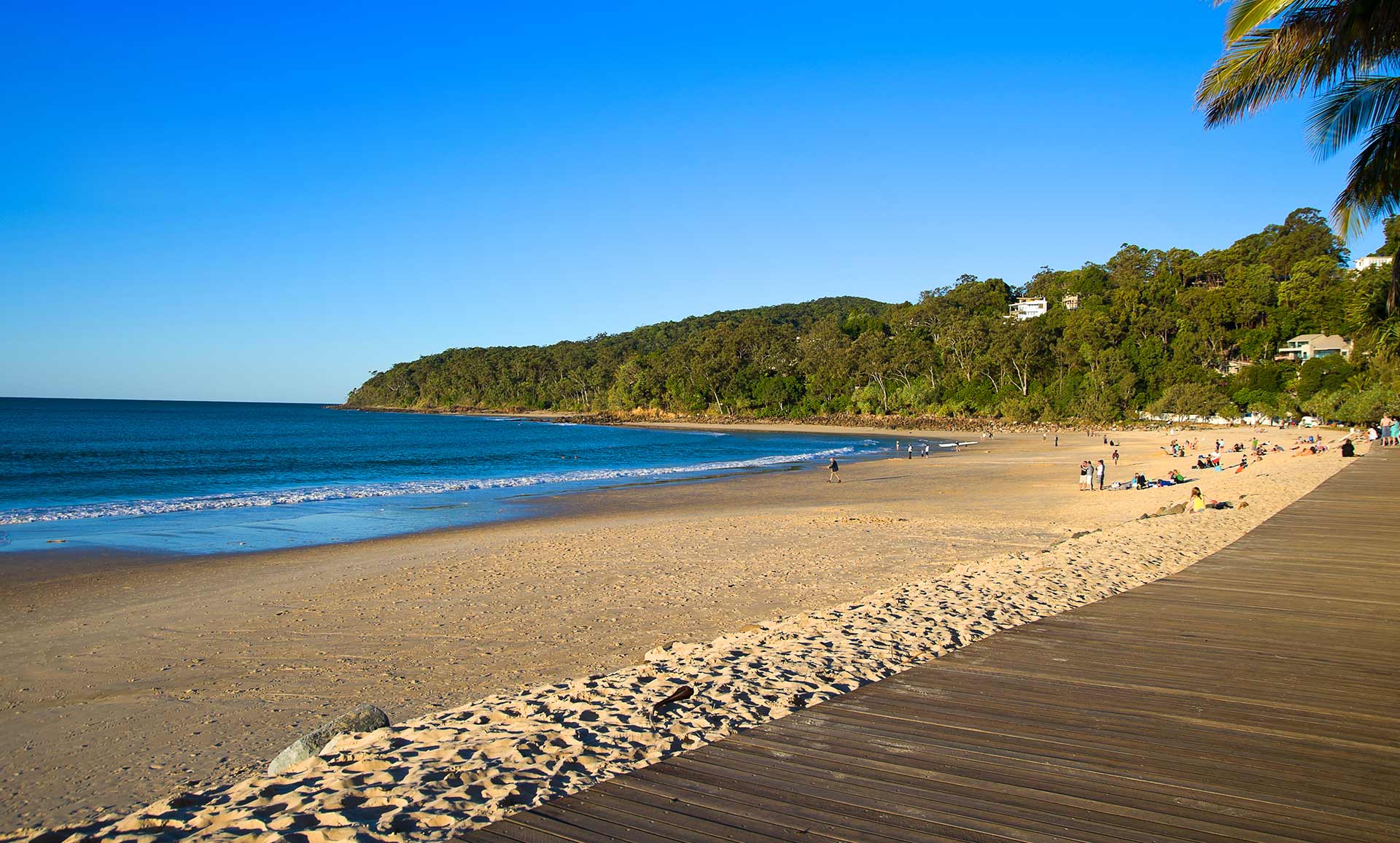 Cheap Flights from Sydney SYD to Noosa MCY from 82 Flight