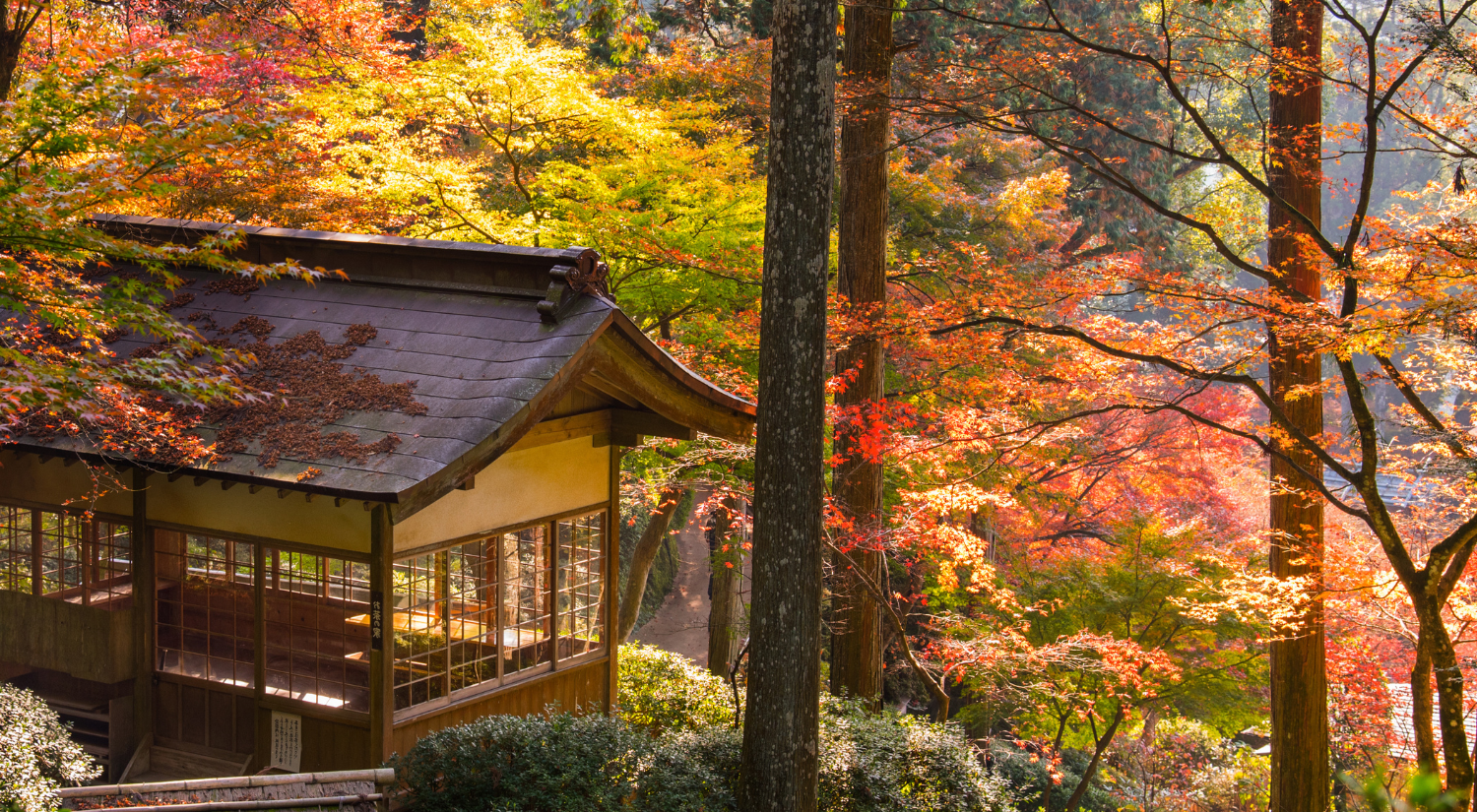 How to Experience Authentic Rural Japan Beyond Tokyo