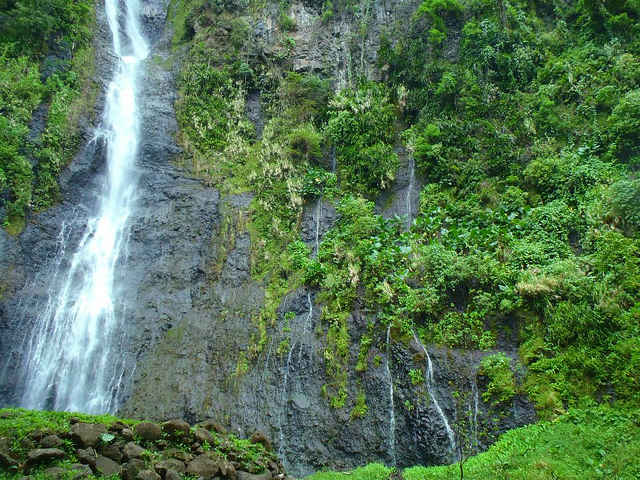 Top 10 Must See’s in French Polynesia | Flight Centre Travel Blog