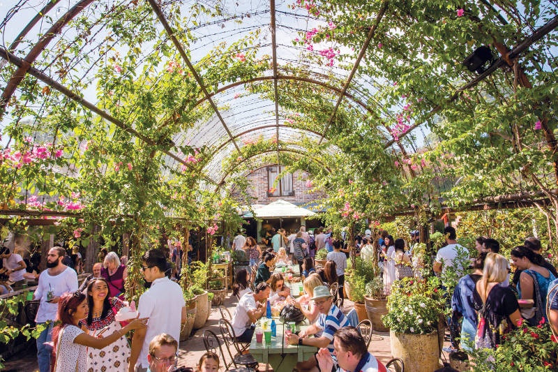 The grounds of alexandria courtyard in sydney