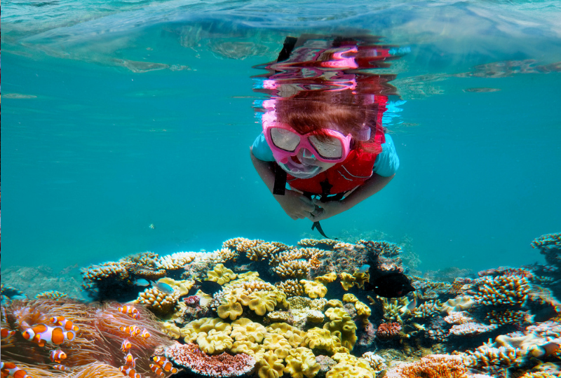 A child with mask and snorkel swims over brightly coloured coral in still, crystal-clear water