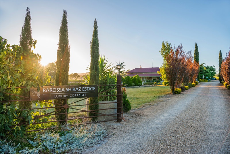 entrance to Barossa Shiraz estate