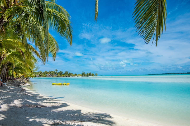 palm trees line the shore of the beautiful beach on Aitutaki and a yellow kayak is parked on its waters