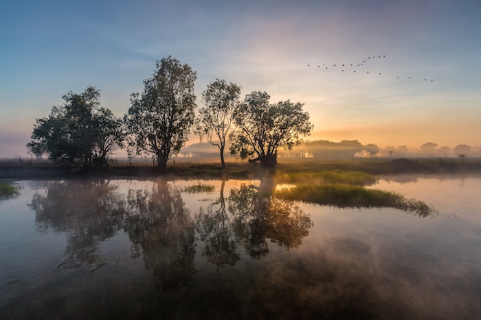 Sunrise over a wetland in Kakadu national park
