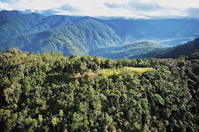 Aerial of the dense jungle around Kokoda Track in Papua New Guinea