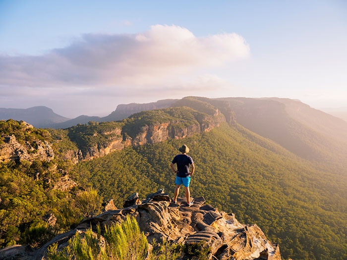 Blue Mountains national park