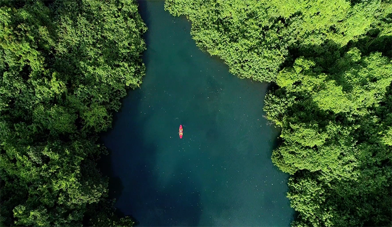 Aerial view of a person canoeing down a tree-lined river