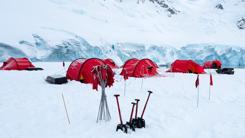 Camping in Antarctica. Image: Stefan Dall for Hurtigruten