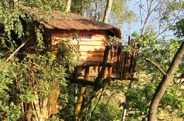 A treehouse that was located at the side of a mountain