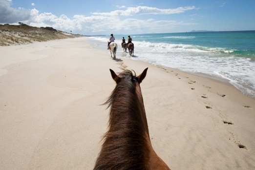 Person riding the horse around the beach with their friends