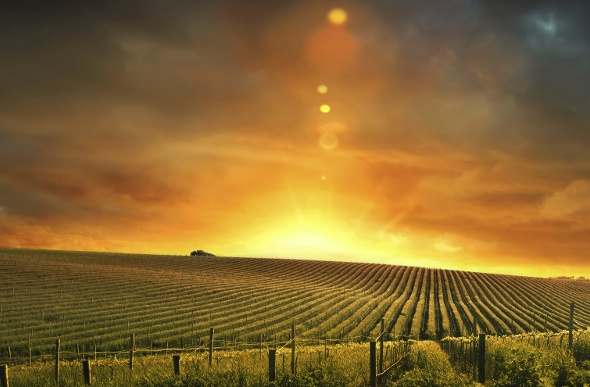  Stunning sunset over an agricultural field