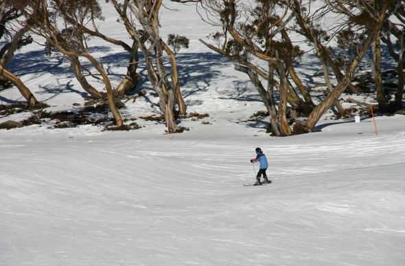 A person snowboarding in the middle of the mountain with trees at the background