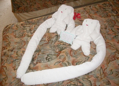  Towel folding design in a hotel room