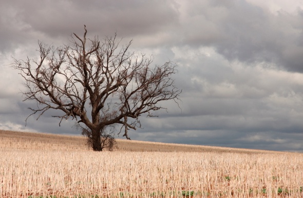 Dry landscape at Southern Highlands