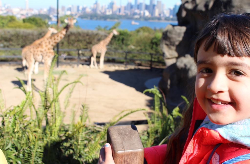  A child smiling with the giraffes in Taronga Zoo