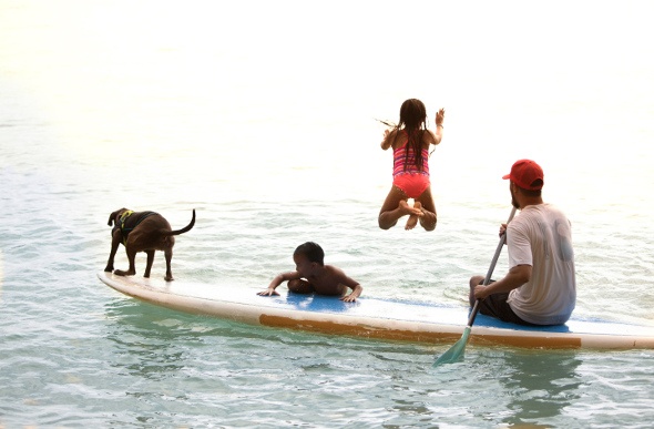 An instructor takes two children and the resident surfing dog out on a paddleboarding lesson at Turtle Bay Resort on Oahu's North Shore