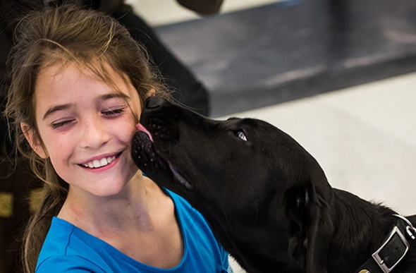  Young girl being licked by black dog 