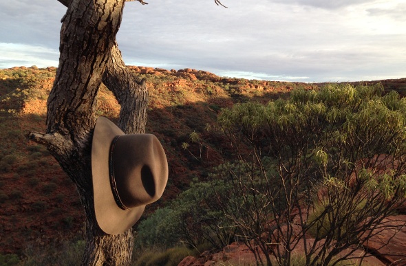  Akubra hat hanging on a tree branch in the country 