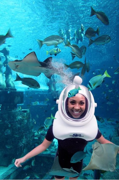 Woman diving in a shark safari 
