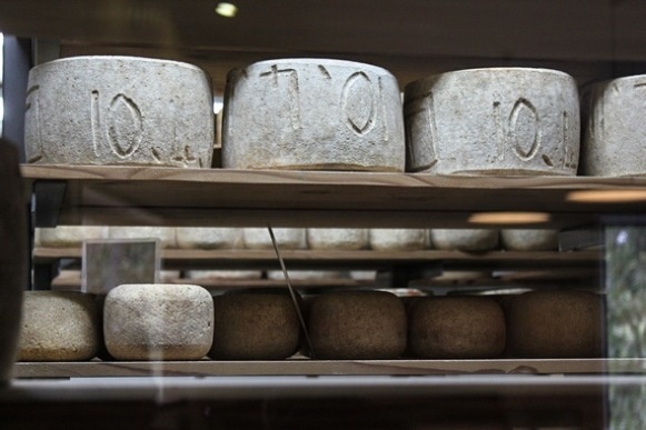 Shelves stocked with a selection of aged cheese wheels in a warehouse