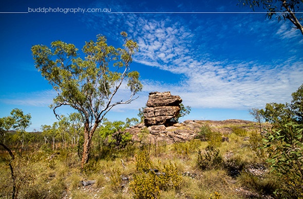Rock formation located in a bushy field