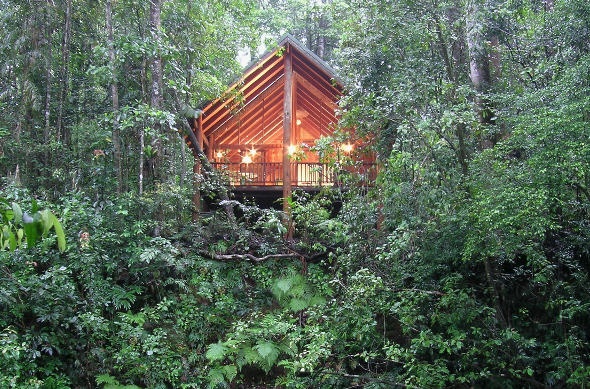 Beautiful cabin in the middle of the forest 