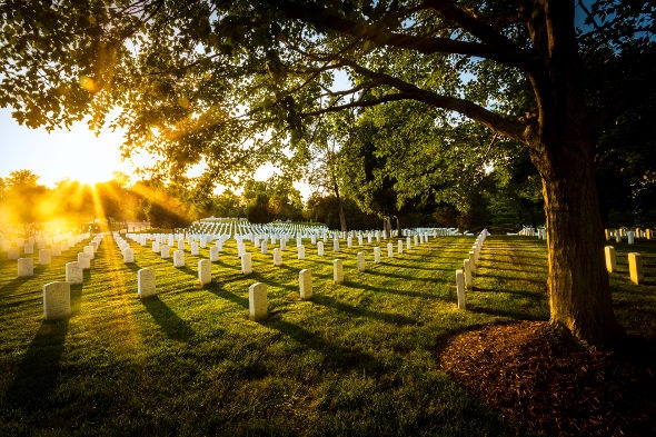  Arlington Cemetery