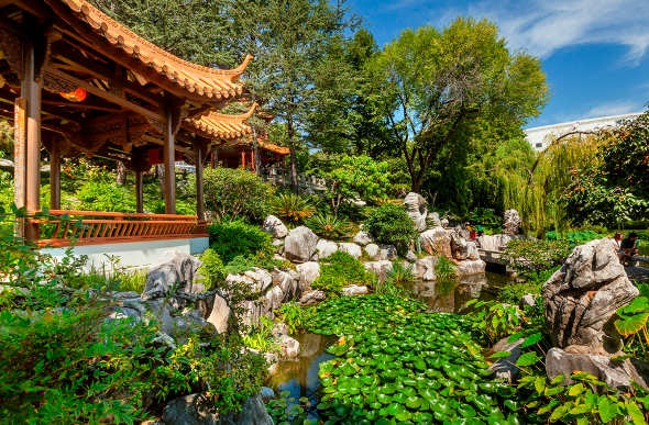 Lush plants surrounding the Chinese Garden of Friendship in Sydney