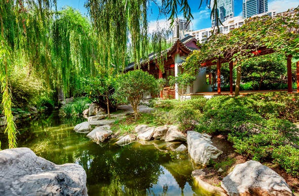 Beautiful greeneries of the Chinese Garden of Friendship in Sydney