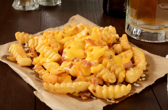  a platter of yummy chips topped with cheese and sprinkled with bacon with a mug of beer on the side
