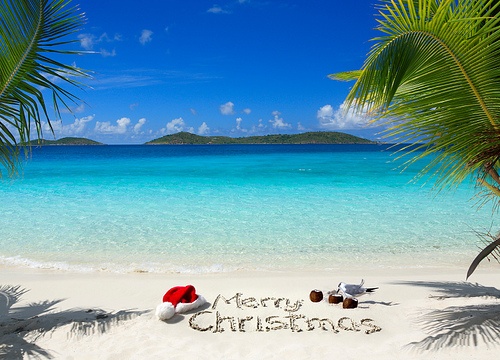  Seaside view with a Holiday greeting
