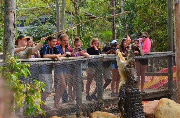  Tourists watching crocodile feeding 