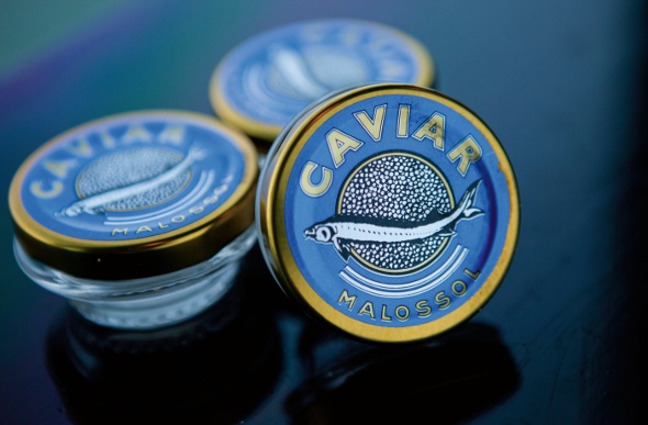 Containers of caviar