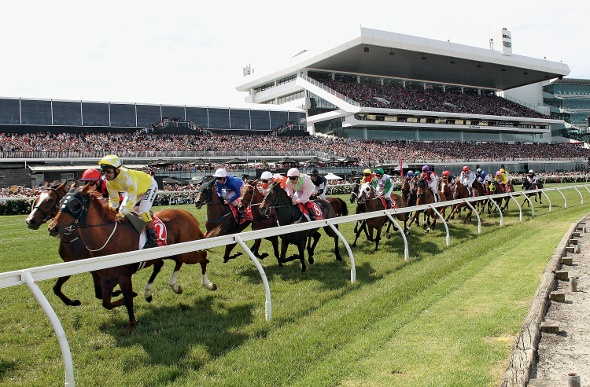 Horses racing at the Melbourne Cup