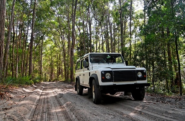  A four wheel drive car on a forest road on Fraser Island, Australia.