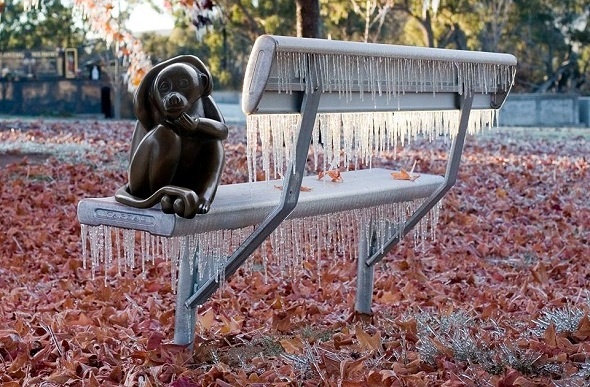  Brass monkey sitting on an icicle laced bench.