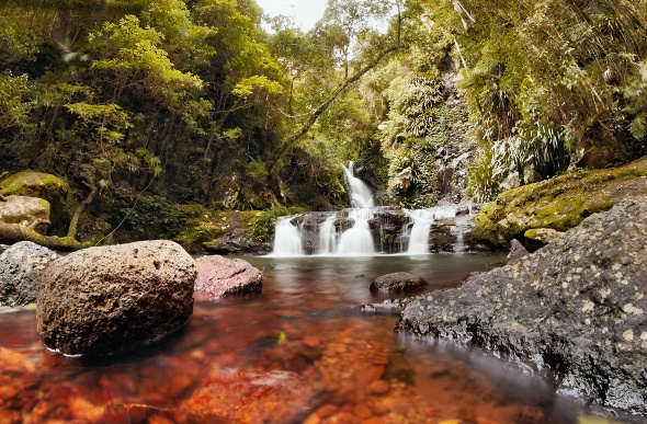  a brook in the lamington national park