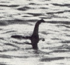 an unusual sighting of the loch ness monster in the middle of the sea