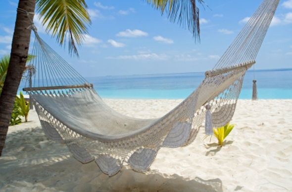  an empty kintted white hammock hanged between two palm trees on a beach in maldives