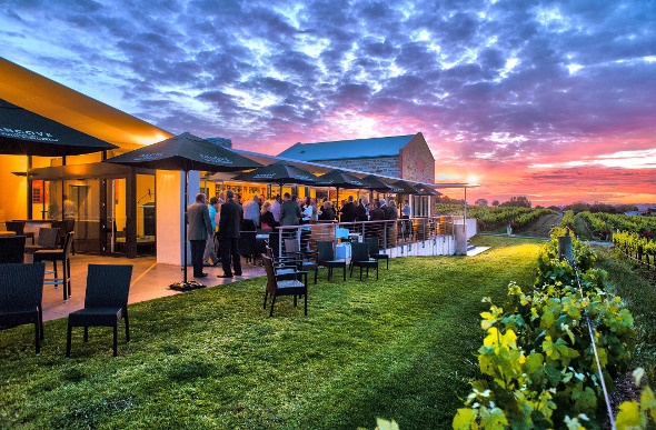 People enjoying wine overlooking a vineyard at sunset