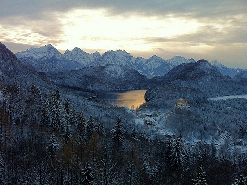 View of snow covered pine trees and mountains from New Schwanstein Castle