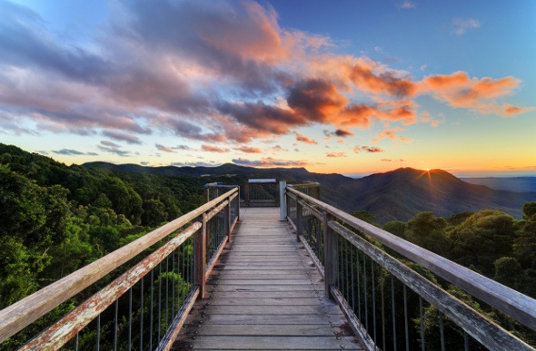 A bridge out to a viewing area that overlooks a rainforest