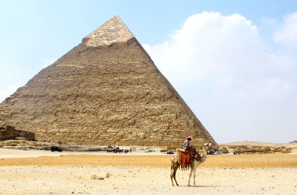  camel riding in front of the Pyramids