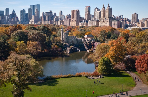Overlooking Central Park with the New York City skyline in the background