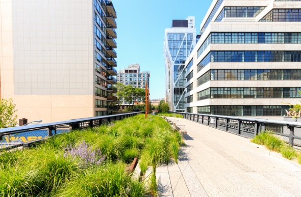 A walking path in New York with a garden with plants on one side