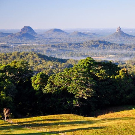Lush trees surrounding the Glass House Mountains National Park