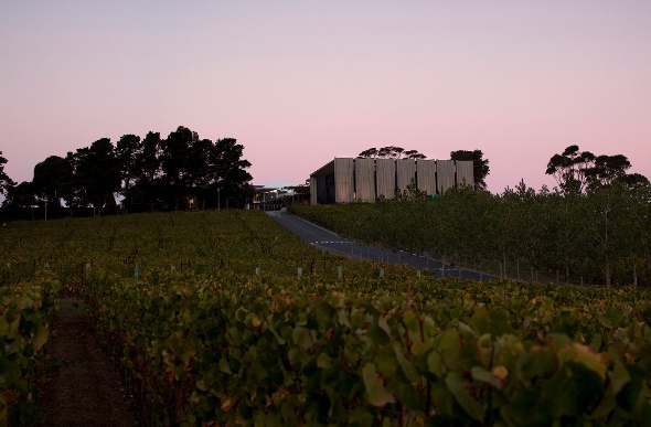  Moorilla Winery Tasmania 