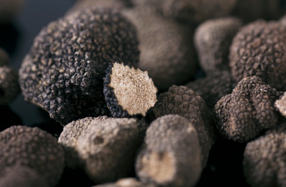 Close-up shot of truffles