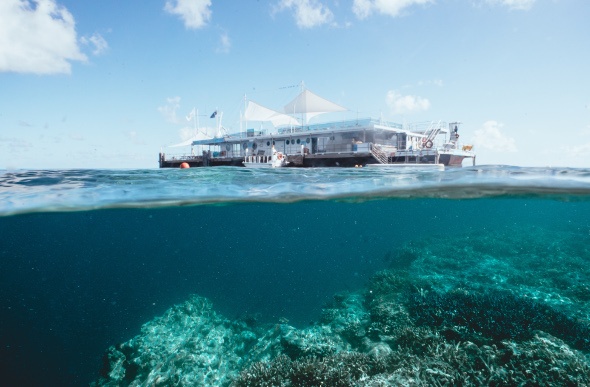 The Reefworld pontoon floats above a hidden world of coral on Hardy Reef at the Great Barrier Reef in the Whitsundays.