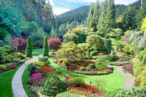 Aerial view of a bright, colourful garden